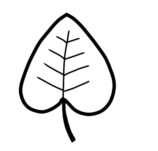 dessin d'une feuille