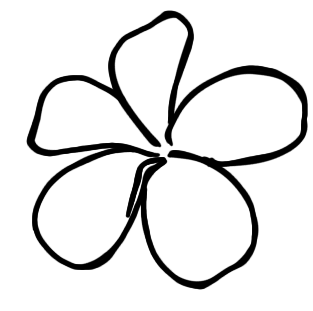 dessin d'une fleur
